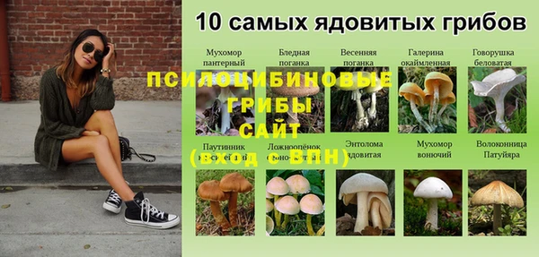 трава Абинск