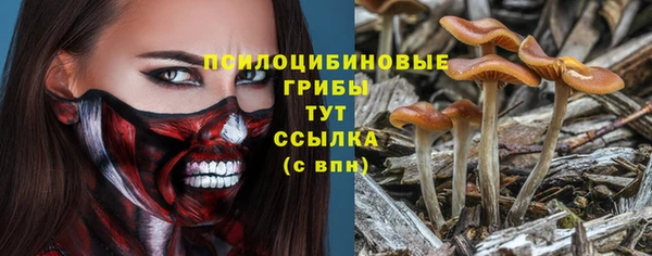 трава Абинск