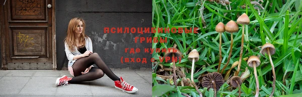 трава Абинск