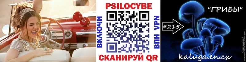 Галлюциногенные грибы Psilocybine cubensis  kraken вход  Таганрог  как найти закладки 